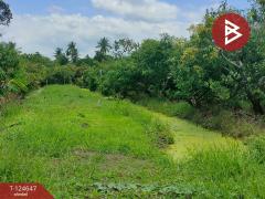 ขายที่ดิน เนื้อที่ 3 ไร่ กระทุ่มแบน สมุทรสาคร-202510221656361761126996608.jpg