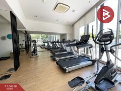 ขายคอนโด ยูดีไลท์ รัชวิภา (U Delight Ratchavibha) พร้อมเข้าอยู่-202510221705471761127547993.jpg