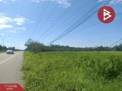 ขายที่ดิน เนื้อที่ 7 ไร่ 15.7 ตร.วา ศรีวิไล บึงกาฬ