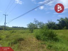 ขายที่ดิน เนื้อที่ 7 ไร่ 15.7 ตร.วา ศรีวิไล บึงกาฬ-202510221718431761128323417.jpg