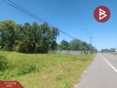 ขายที่ดิน เนื้อที่ 7 ไร่ 15.7 ตร.วา ศรีวิไล บึงกาฬ-202510221718441761128324863.jpg