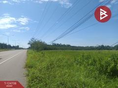 ขายที่ดิน เนื้อที่ 7 ไร่ 15.7 ตร.วา ศรีวิไล บึงกาฬ-202510221718451761128325419.jpg