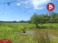 ขายที่ดิน เนื้อที่ 7 ไร่ 15.7 ตร.วา ศรีวิไล บึงกาฬ-202510221718461761128326502.jpg