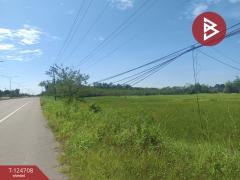 ขายที่ดิน เนื้อที่ 7 ไร่ 15.7 ตร.วา ศรีวิไล บึงกาฬ-202510221718471761128327924.jpg