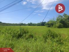 ขายที่ดิน เนื้อที่ 7 ไร่ 15.7 ตร.วา ศรีวิไล บึงกาฬ-202510221718481761128328452.jpg