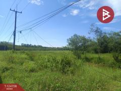 ขายที่ดิน เนื้อที่ 7 ไร่ 15.7 ตร.วา ศรีวิไล บึงกาฬ-202510221718481761128328997.jpg