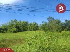 ขายที่ดิน เนื้อที่ 7 ไร่ 15.7 ตร.วา ศรีวิไล บึงกาฬ-202510221718501761128330078.jpg