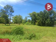 ขายที่ดิน เนื้อที่ 7 ไร่ 15.7 ตร.วา ศรีวิไล บึงกาฬ-202510221718501761128330626.jpg