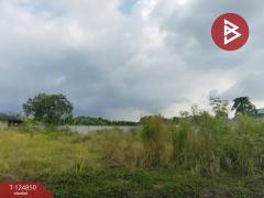 ขายที่ดิน เนื้อที่ 2 งาน 63.3 ตร.วา พลับพลา จันทบุรี-202510221725041761128704574.jpg