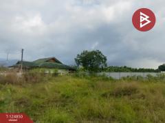 ขายที่ดิน เนื้อที่ 2 งาน 63.3 ตร.วา พลับพลา จันทบุรี-202510221725051761128705114.jpg