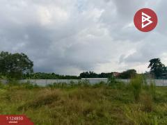 ขายที่ดิน เนื้อที่ 2 งาน 63.3 ตร.วา พลับพลา จันทบุรี-202510221725051761128705656.jpg