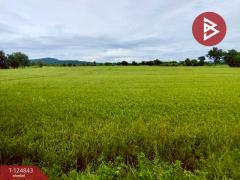 ขายที่ดิน เนื้อที่ 8 ไร่ 2 งาน 80.8 บึงสามพัน เพชรบูรณ์