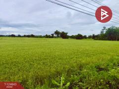 ขายที่ดิน เนื้อที่ 8 ไร่ 2 งาน 80.8 บึงสามพัน เพชรบูรณ์-202510221736341761129394892.jpg