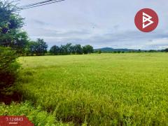 ขายที่ดิน เนื้อที่ 8 ไร่ 2 งาน 80.8 บึงสามพัน เพชรบูรณ์-202510221736351761129395426.jpg