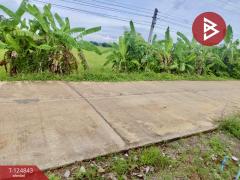 ขายที่ดิน เนื้อที่ 8 ไร่ 2 งาน 80.8 บึงสามพัน เพชรบูรณ์-202510221736361761129396485.jpg