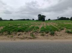 ขายที่ดินระยอง ปลวกแดง 65-3-52 ไร่ ผังสีม่วงลาย ใกล้นิคมอุตสาหกรรมอีสเทิร์นซีบอร์ด (ระยอง)-202510230045271761155127626.jpg