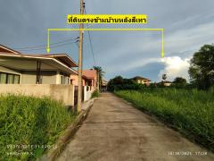 ขายด่วน!! ที่ดินเปล่า หลังตึกทรู บ้านคลอง พิษณุโลก-202510230231391761161499054.jpg