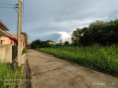 ขายด่วน!! ที่ดินเปล่า หลังตึกทรู บ้านคลอง พิษณุโลก-202510230231391761161499820.jpg