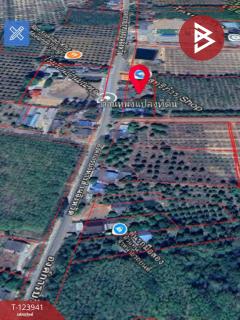 ขายบ้านเดี่ยว เนื้อที่ 2 งาน 51 ตร.วา เขาสมิง ตราด-202510230902421761184962986.jpg