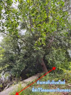 ขายหรือให้เช่า ระยะยาว ที่ดิน 6 ไร่เศษ  ติดคลองสุนัขหอน  ติดถนนทางหลวง สส.5007  (ลาดใหญ่-สมุทรสงคราม) ต.ลาดใหญ่ อ.เมือง จ.สมุทรสงคราม-202510231038131761190693045.jpg