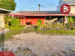 ขายที่ดินพร้อมสิ่งปลูกสร้าง เนื้อที่ 1 ไร่ 2 งาน 44 ตารางวา ราษฎรพัฒนา อ่างทอง-202510231141091761194469632.jpg