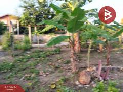 ขายที่ดินพร้อมสิ่งปลูกสร้าง เนื้อที่ 1 ไร่ 2 งาน 44 ตารางวา ราษฎรพัฒนา อ่างทอง-202510231141111761194471676.jpg