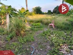 ขายที่ดินพร้อมสิ่งปลูกสร้าง เนื้อที่ 1 ไร่ 2 งาน 44 ตารางวา ราษฎรพัฒนา อ่างทอง-202510231141121761194472733.jpg