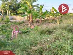 ขายที่ดินพร้อมสิ่งปลูกสร้าง เนื้อที่ 1 ไร่ 2 งาน 44 ตารางวา ราษฎรพัฒนา อ่างทอง-202510231141131761194473808.jpg