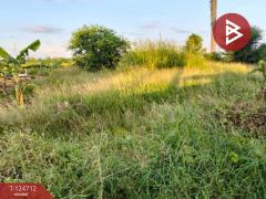 ขายที่ดินพร้อมสิ่งปลูกสร้าง เนื้อที่ 1 ไร่ 2 งาน 44 ตารางวา ราษฎรพัฒนา อ่างทอง-202510231141141761194474877.jpg