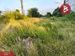 ขายที่ดินพร้อมสิ่งปลูกสร้าง เนื้อที่ 1 ไร่ 2 งาน 44 ตารางวา ราษฎรพัฒนา อ่างทอง-202510231141151761194475409.jpg