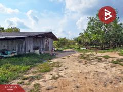 ขายที่ดิน เนื้อที่ 20 ไร่ 3 งาน 97 ตร.วา ท่าใหม่ จันทบุรี-202510231146421761194802648.jpg