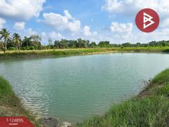 ขายที่ดิน เนื้อที่ 20 ไร่ 3 งาน 97 ตร.วา ท่าใหม่ จันทบุรี-202510231146431761194803186.jpg