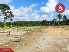 ขายที่ดิน เนื้อที่ 20 ไร่ 3 งาน 97 ตร.วา ท่าใหม่ จันทบุรี-202510231146431761194803719.jpg