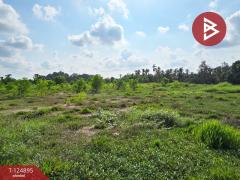 ขายที่ดิน เนื้อที่ 20 ไร่ 3 งาน 97 ตร.วา ท่าใหม่ จันทบุรี-202510231146441761194804262.jpg