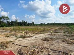 ขายที่ดิน เนื้อที่ 20 ไร่ 3 งาน 97 ตร.วา ท่าใหม่ จันทบุรี-202510231146441761194804797.jpg