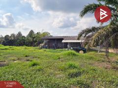 ขายที่ดิน เนื้อที่ 20 ไร่ 3 งาน 97 ตร.วา ท่าใหม่ จันทบุรี-202510231146451761194805338.jpg