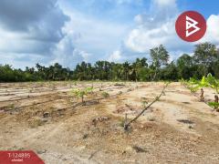 ขายที่ดิน เนื้อที่ 20 ไร่ 3 งาน 97 ตร.วา ท่าใหม่ จันทบุรี-202510231146451761194805896.jpg