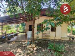 ขายบ้านเดี่ยวพร้อมที่ดิน เนื้อที่ 1 ไร่ 1 งาน 94 ตร.วา บ้านด่าน อุตรดิตถ์-202510231150491761195049497.jpg