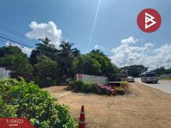 ขายบ้านเดี่ยวพร้อมที่ดิน เนื้อที่ 1 ไร่ 1 งาน 94 ตร.วา บ้านด่าน อุตรดิตถ์-202510231150501761195050028.jpg