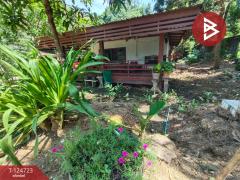 ขายบ้านเดี่ยวพร้อมที่ดิน เนื้อที่ 1 ไร่ 1 งาน 94 ตร.วา บ้านด่าน อุตรดิตถ์-202510231150511761195051096.jpg