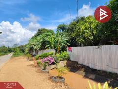 ขายบ้านเดี่ยวพร้อมที่ดิน เนื้อที่ 1 ไร่ 1 งาน 94 ตร.วา บ้านด่าน อุตรดิตถ์-202510231150531761195053039.jpg