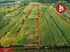 ขายที่ดิน เนื้อที่ 41 ไร่ 2 งาน 30 ตารางวา หันคา ชัยนาท