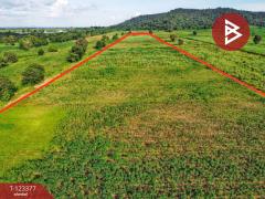 ขายที่ดิน เนื้อที่ 41 ไร่ 2 งาน 30 ตารางวา หันคา ชัยนาท-202510231224061761197046080.jpg