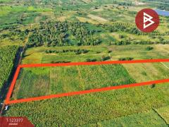 ขายที่ดิน เนื้อที่ 41 ไร่ 2 งาน 30 ตารางวา หันคา ชัยนาท-202510231224061761197046637.jpg