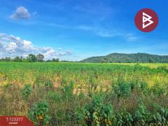 ขายที่ดิน เนื้อที่ 41 ไร่ 2 งาน 30 ตารางวา หันคา ชัยนาท-202510231224071761197047204.jpg