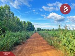 ขายที่ดิน เนื้อที่ 41 ไร่ 2 งาน 30 ตารางวา หันคา ชัยนาท-202510231224071761197047793.jpg