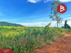 ขายที่ดิน เนื้อที่ 41 ไร่ 2 งาน 30 ตารางวา หันคา ชัยนาท-202510231224081761197048369.jpg