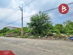 ขายที่ดินถมแล้ว เนื้อที่ 3 ไร่ 38.2 ตารางวา นาดี สมุทรสาคร ในนิคมอุตสาหกรรม-202510231230171761197417004.jpg