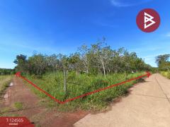 ขายที่ดินพร้อมสวน เนื้อที่ 19 ไร่ 1 งาน 50 ตร.วา เซกา บึงกาฬ