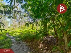 ขายที่ดินพร้อมสวน เนื้อที่ 19 ไร่ 1 งาน 50 ตร.วา เซกา บึงกาฬ-202510231233491761197629081.jpg